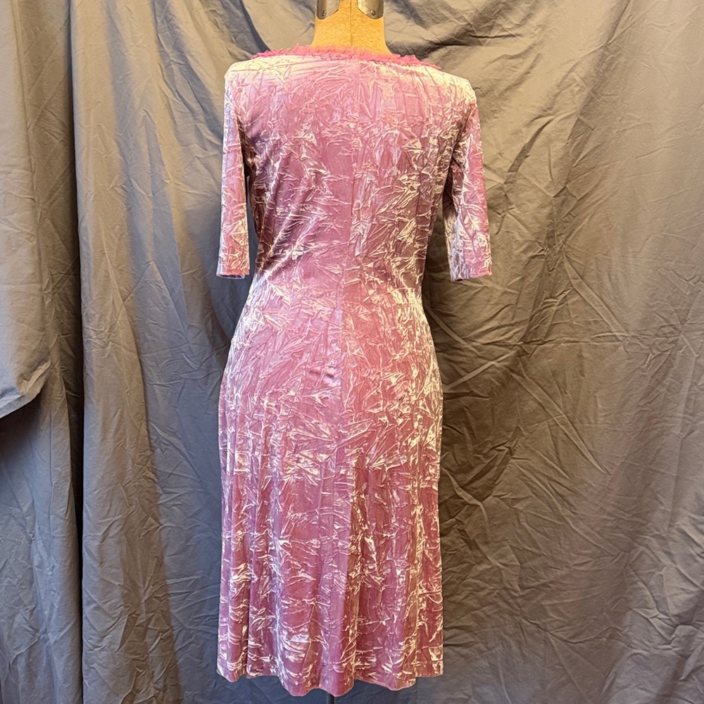 Pink Lace-Trim Soft Crushed Velvet Betsey Johnson Dress with Rose Appliques - Picture 4 of 5